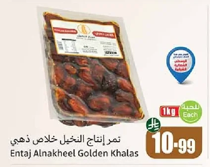 تمر انتاج النخيل خلاص ذهبي