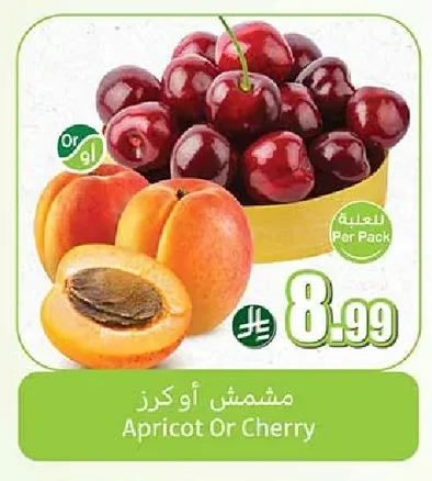 Apricot Or Cherry