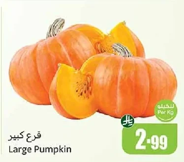 Large Pumpkin