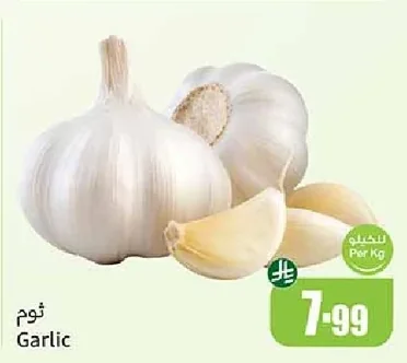 ثوم