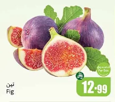 Fig