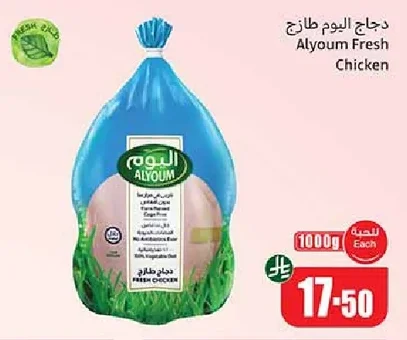 دجاج اليوم طازج