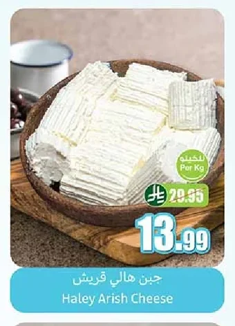 جبن هالي قريش