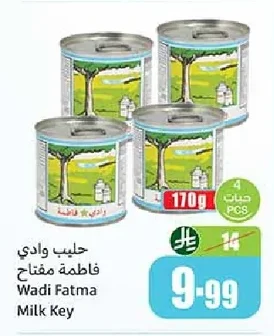 Wadi Fatma Milk Key