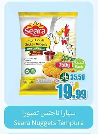 سيارا ناجتس تمبورا