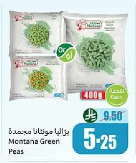 بازاليا مونتانا مجمدة