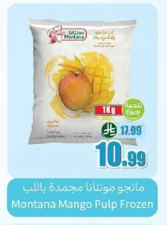 Frozen Mango Pulp
