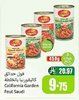 Foul Medames with Mix