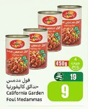فول مدس حدائق كاليفورنيا
