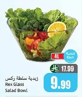 Rex Salad Bowl