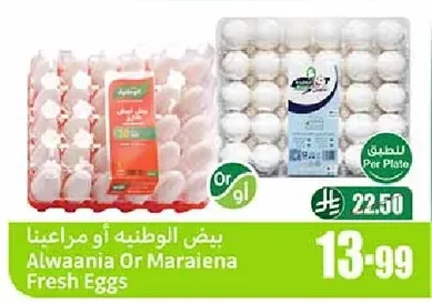 بيض الوطنيه أو مراعينا