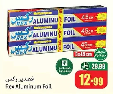 قصدير ركس