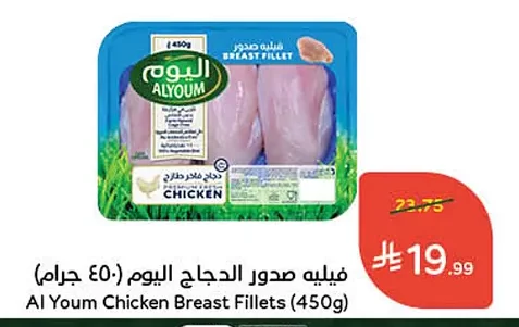 فيليه صدور الدجاج اليوم