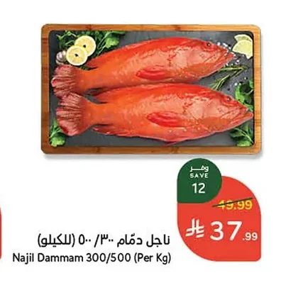 Najil Dammam