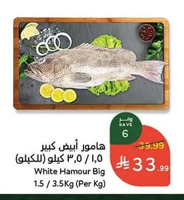 White Hamour Big