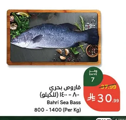 Bahri Sea Bass
