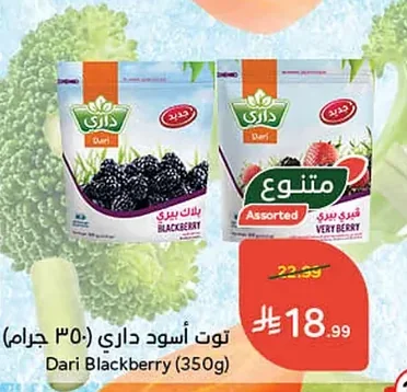 توت أسود داري