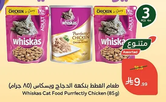 طعام القطط بلكة الدجاج والبسكات