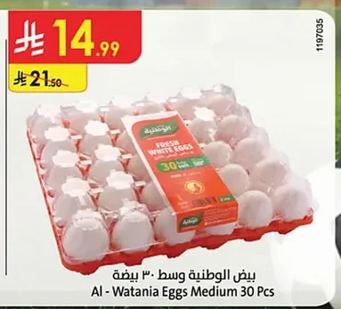 بيض