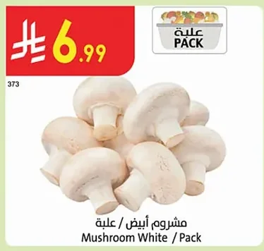 مشروم أبيض