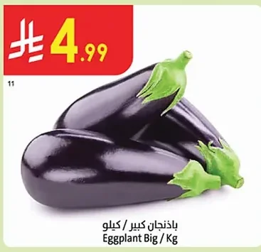 باذنجان كبير