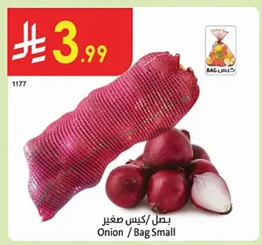 بصل