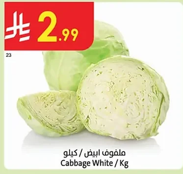 ملفوف ابيض