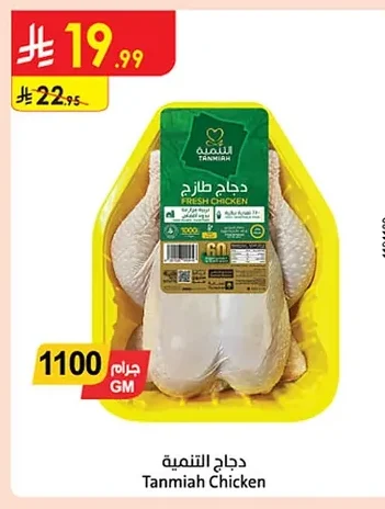 دجاج التنمية
