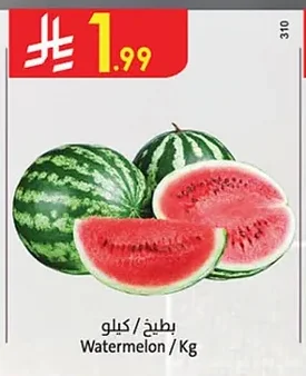 بطيخ