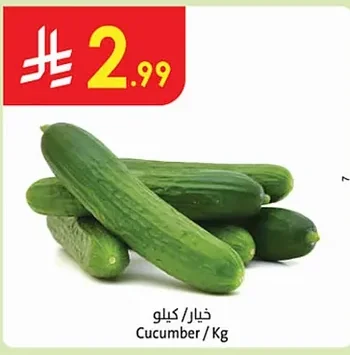 Cucumber