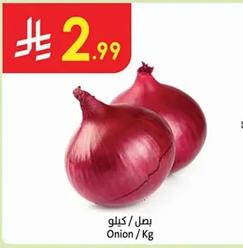 Onion