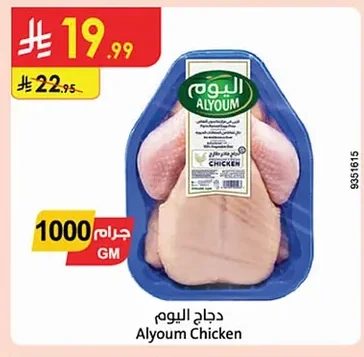 دجاج