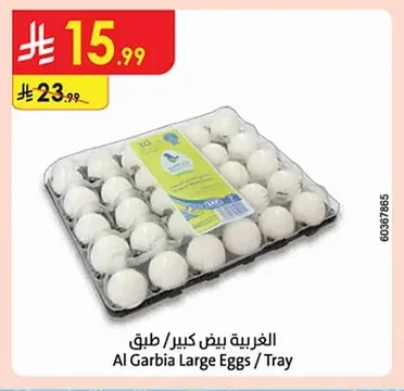 Large Eggs