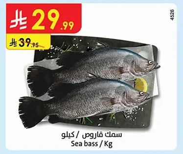 Sea bass