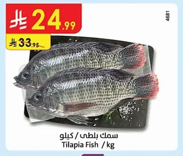 Tilapia Fish
