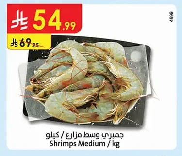 Shrimps Medium