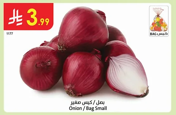 بصل