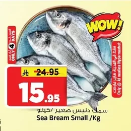 سمك دنيس صغير