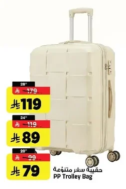 PP Trolley Bag