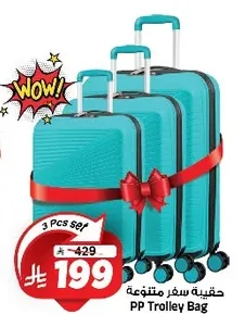 PP Trolley Bag