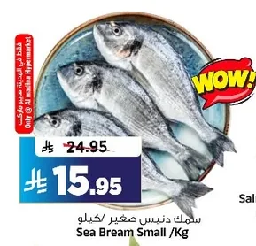 Sea Bream Small