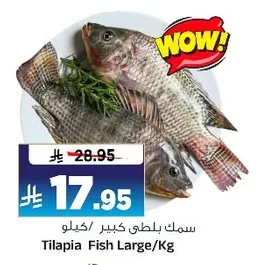Tilapia Fish Large