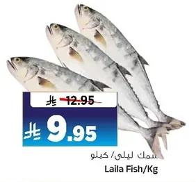Laila Fish