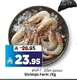 Shrimps Farm