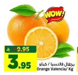 Orange Valencia/ Kg