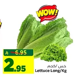 Lettuce Long/Kg