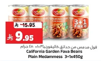 فول مدمس