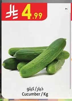 Al - Watania Eggs Medium