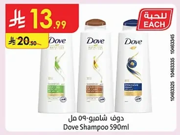 Shampoo