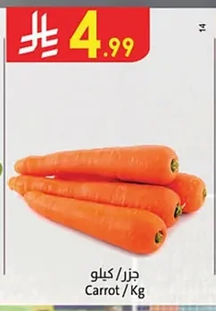 Cucumber